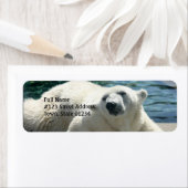 Arctic Polar Beer retouradreslabel Etiket (Insitu)