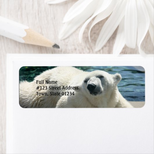 Arctic Polar Beer retouradreslabel Etiket (Insitu)