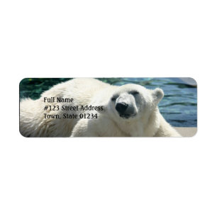 Arctic Polar Beer Return Address Label