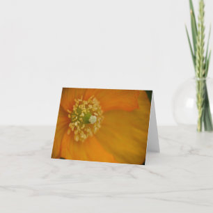 Arctic Poppy Note-Kaart Kaart