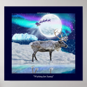 Arctic Reindeer & Santa Claus kerstcadeaus Poster