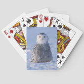 Arctic Snowy Owl Alaska Winter Scene Speling Kaart (Achterkant)