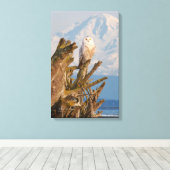 Arctic Snowy Owl, Beach driftwood en Mt. Baker Canvas Afdruk (Insitu (Houten vloer))