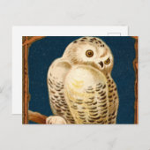 Arctic Snowy Owl Bird - First Day of Winter Briefkaart (Voorkant / Achterkant)
