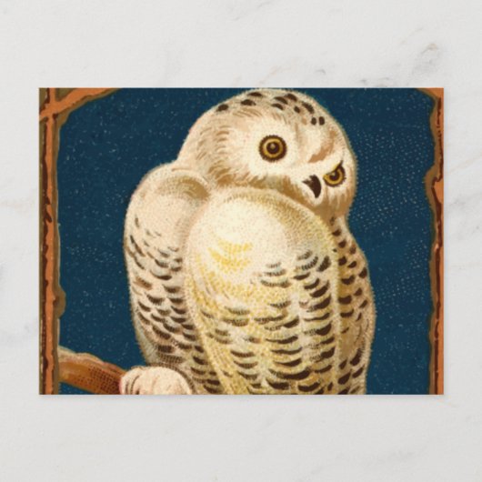 Arctic Snowy Owl Bird - First Day of Winter Briefkaart (Voorkant)