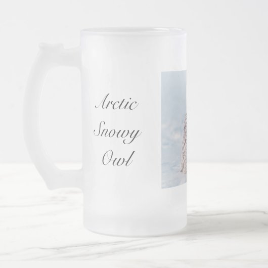 Arctic Snowy Owl Frosted Glass Winter Matglas Bierpul (Links)