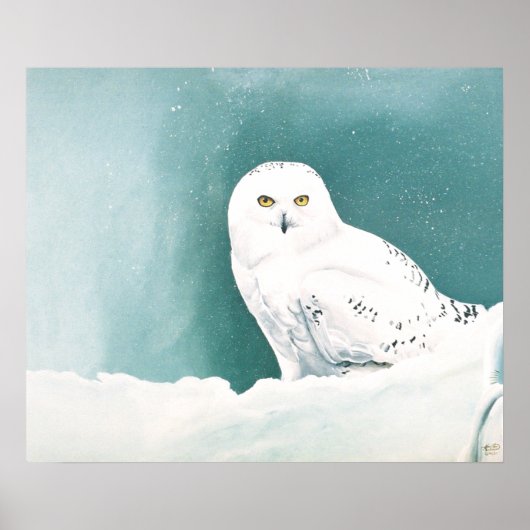 Arctic Snowy Owl Poster (Voorkant)