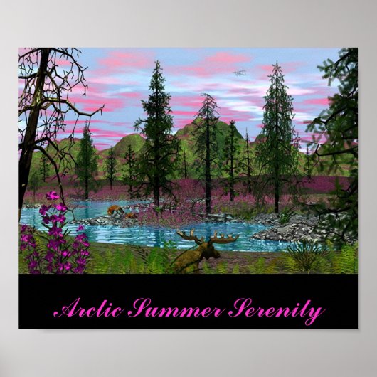 Arctic Summer Serenity Poster (Voorkant)