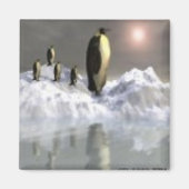 Arctic Sun Magneet (Voorkant)