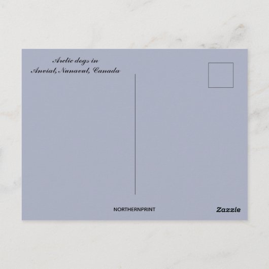 Arctic Sundogs in het Canadese Anviat Nunavut Briefkaart (Achterkant)