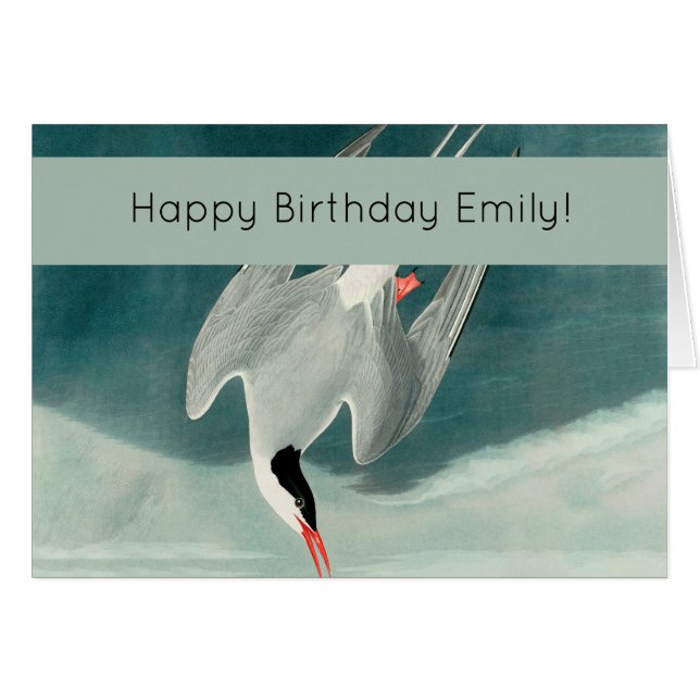 Arctic Tern Audubon Bird Wildlife Painting (Voorkant Horizontaal)