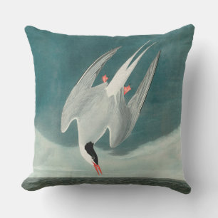 Arctic Tern Audubon Bird Wildlife Painting Buitenkussen