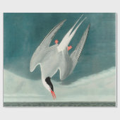 Arctic Tern Audubon Bird Wildlife Painting Cadeaupapier (Vlak)