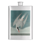 Arctic Tern Audubon Bird Wildlife Painting Flacon (Voorkant)