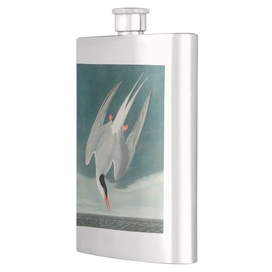 Arctic Tern Audubon Bird Wildlife Painting Flacon (Links)