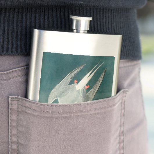 Arctic Tern Audubon Bird Wildlife Painting Flacon (Voorbeeld)
