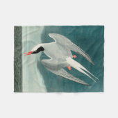 Arctic Tern Audubon Bird Wildlife Painting Fleece Deken (Voorkant (Horizontaal))
