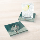 Arctic Tern Audubon Bird Wildlife Painting Glazen Onderzetter (Schuin)