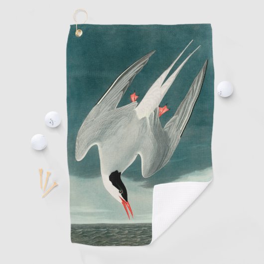 Arctic Tern Audubon Bird Wildlife Painting Golfhanddoek (Insitu)