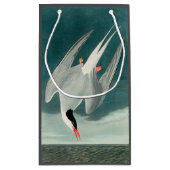 Arctic Tern Audubon Bird Wildlife Painting Klein Cadeauzakje (Achterkant)