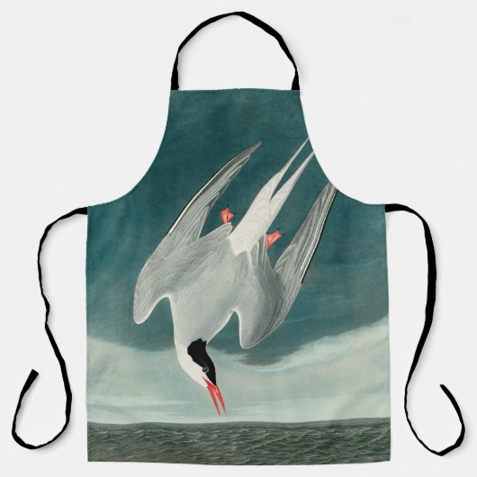 Arctic Tern Audubon Bird Wildlife Painting Schort (Voorkant)
