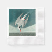Arctic Tern Audubon Bird Wildlife Painting Servet (Voorkant)