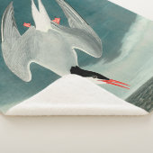 Arctic Tern Audubon Bird Wildlife Painting Sherpa Deken (3/4)