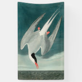 Arctic Tern Audubon Bird Wildlife Painting Spandoek (Verticaal)