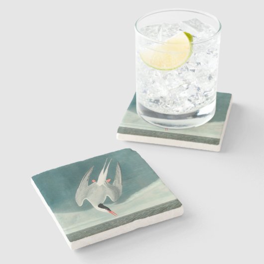 Arctic Tern Audubon Bird Wildlife Painting Stenen Onderzetter (Zijkant)