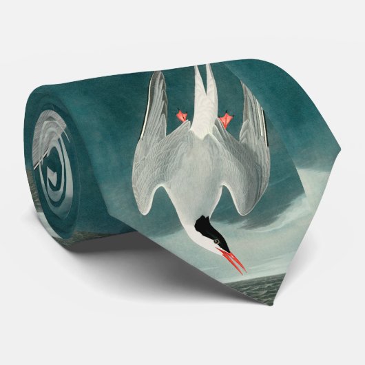 Arctic Tern Audubon Bird Wildlife Painting Stropdas (Opgerold)