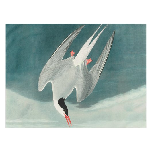 Arctic Tern Audubon Bird Wildlife Painting Tafelkleed (Voorkant (Horizontaal))