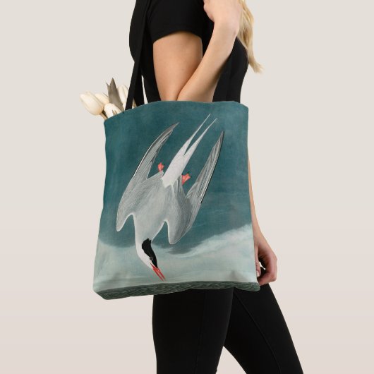 Arctic Tern Audubon Bird Wildlife Painting Tote Bag (Dichtbij)