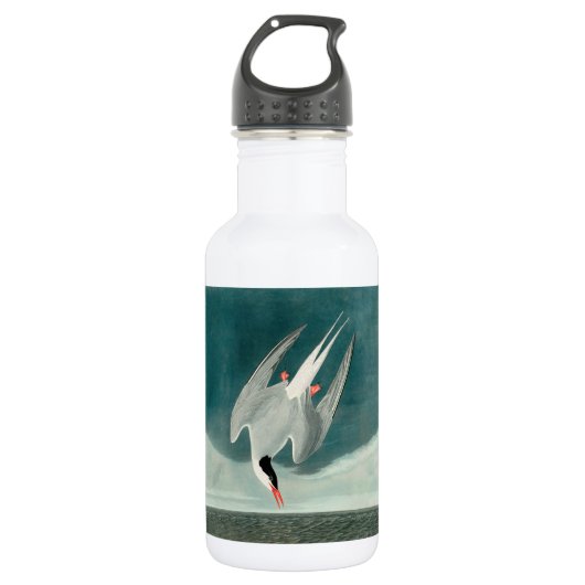 Arctic Tern Audubon Bird Wildlife Painting Waterfles (Voorkant)