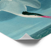 Arctic Tern Birds of America Audubon Print (Hoek)