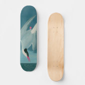 Arctic Tern Birds of America Audubon Print Persoonlijk Skateboard (Voorkant)