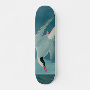 Arctic Tern Birds of America Audubon Print Persoonlijk Skateboard