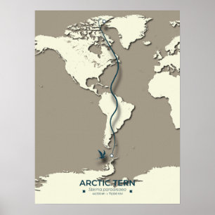 Arctic Tern Migration Map - Minimalistische Vintag Poster