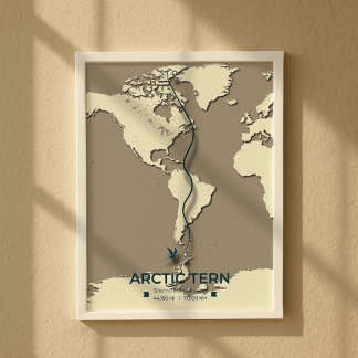 Arctic Tern Migration Map - Minimalistische Vintag Poster
