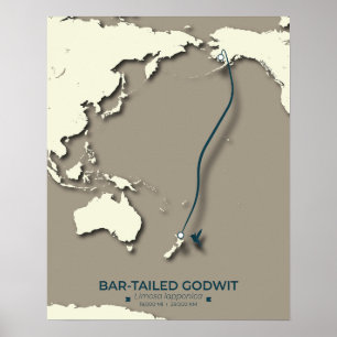 Arctic Tern Migration Map - Minimalistische Vintag Poster