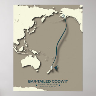 Arctic Tern Migration Map - Minimalistische Vintag Poster