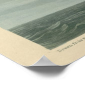 Arctic Tern Poster (Hoek)