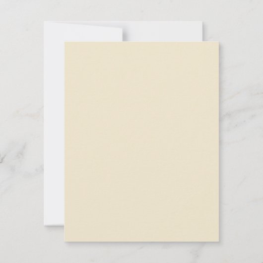 Arctic Tern van John James Audubon,  vogels (Achterkant)