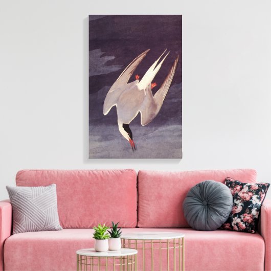 Arctic Tern van John James Audubon, vogels Canvas Afdruk (Insitu (Woonkamer))