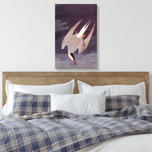 Arctic Tern van John James Audubon, vogels Canvas Afdruk (Insitu (Slaapkamer))