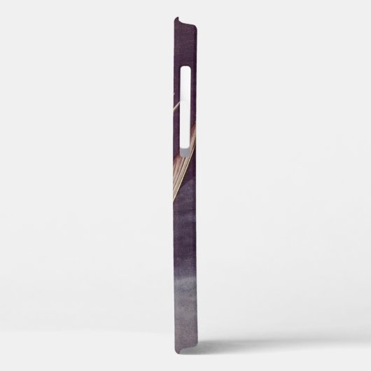 Arctic Tern van John James Audubon,  vogels Case-Mate iPhone Case (Achterkant / Links)