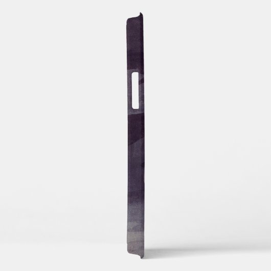 Arctic Tern van John James Audubon,  vogels Case-Mate iPhone Case (Achterkant / Rechts)