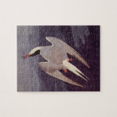 Arctic Tern van John James Audubon,  vogels Legpuzzel (Horizontaal)
