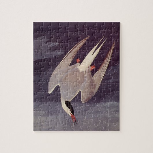 Arctic Tern van John James Audubon,  vogels Legpuzzel (Verticaal)