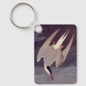 Arctic Tern van John James Audubon, vogels Sleutelhanger (Voorkant)
