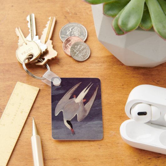 Arctic Tern van John James Audubon, vogels Sleutelhanger (Bureau)